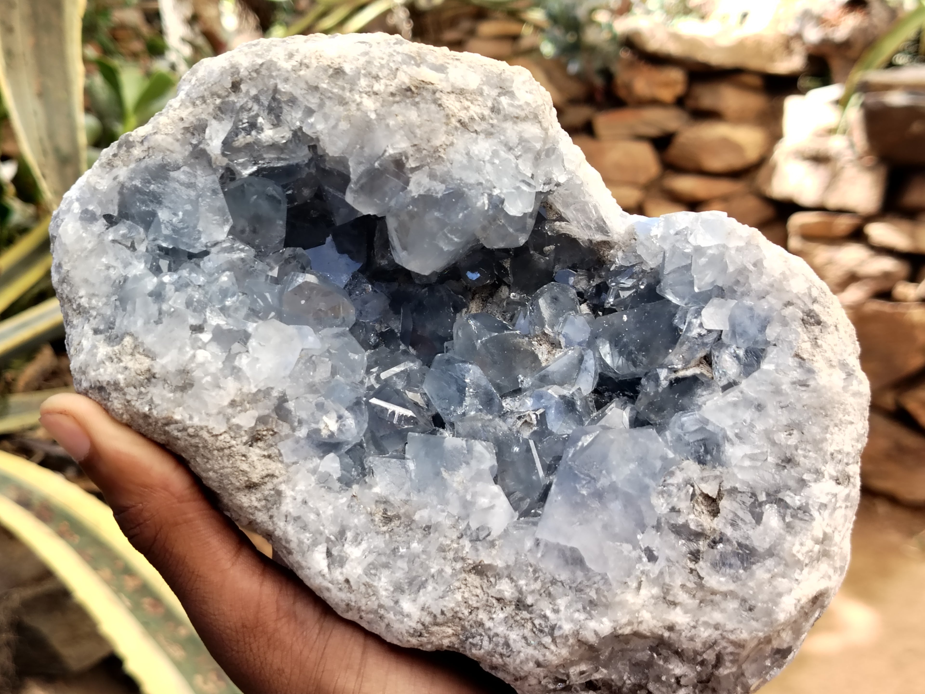 Natural Celestite Geode Specimen x 1 From Sakoany, Madagascar - Toprock Gemstones and Minerals 