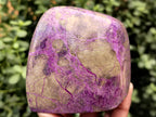 Polished Stichtite and Serpentine Standing Free Form x 3 From Barberton, South Africa - Toprock Gemstones and Minerals 