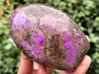 Polished Stichtite and Serpentine Standing Free Form x 3 From Barberton, South Africa - Toprock Gemstones and Minerals 