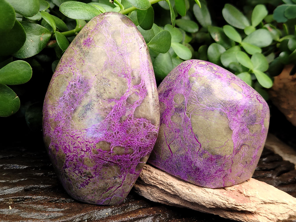 Polished Stichtite and Serpentine Standing Free Form x 3 From Barberton, South Africa - Toprock Gemstones and Minerals 