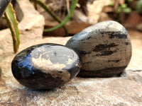 Polished Pharaoh Stone Galet / Palm Stones x 6 From Zimbabwe - Toprock Gemstones and Minerals 