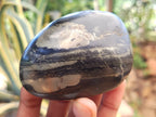 Polished Pharaoh Stone Galet / Palm Stones x 6 From Zimbabwe - Toprock Gemstones and Minerals 