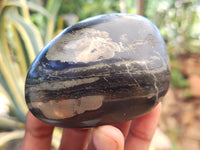 Polished Pharaoh Stone Galet / Palm Stones x 6 From Zimbabwe - Toprock Gemstones and Minerals 