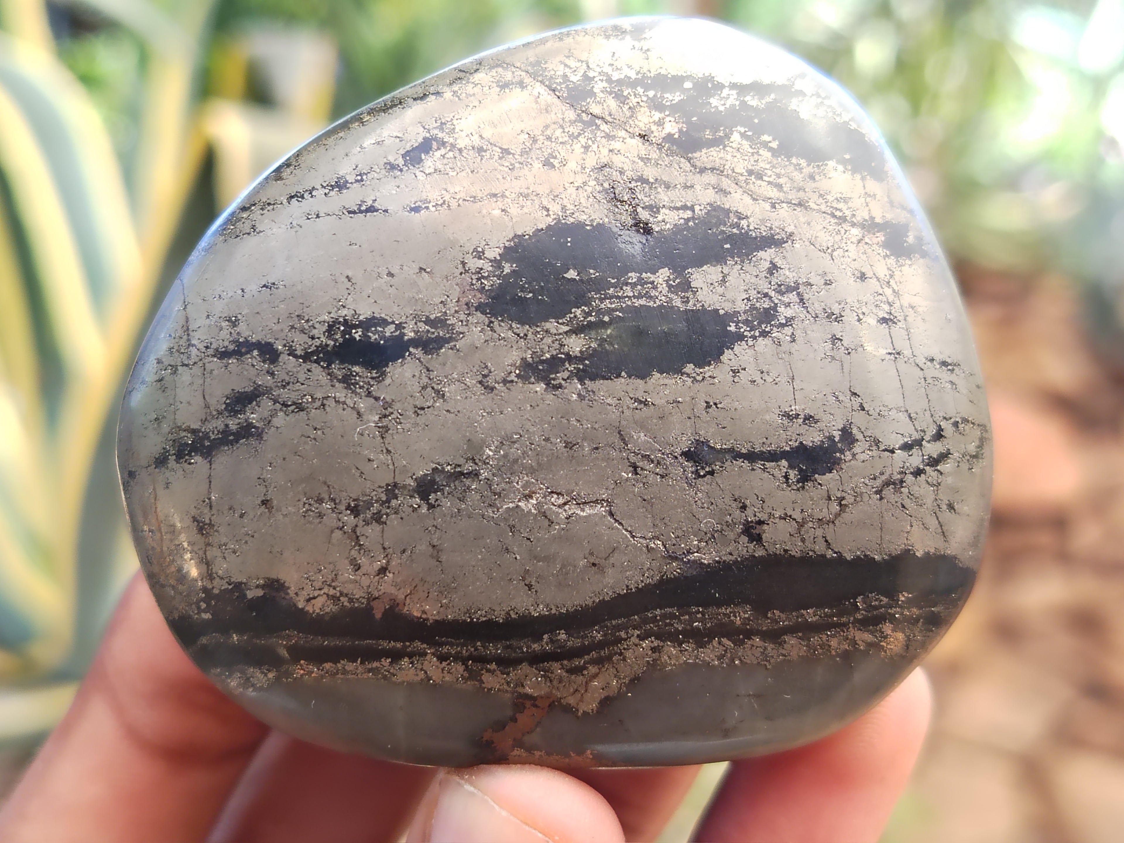 Polished Pharaoh Stone Galet / Palm Stones x 6 From Zimbabwe - Toprock Gemstones and Minerals 