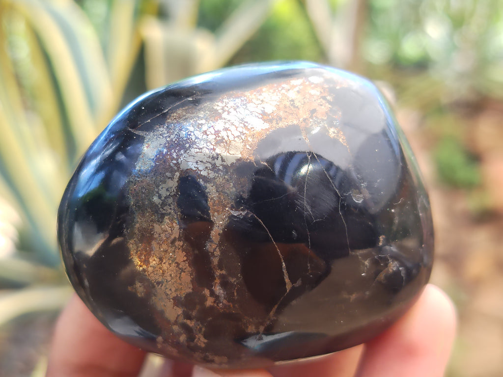 Polished Pharaoh Stone Galet / Palm Stones x 6 From Zimbabwe - Toprock Gemstones and Minerals 