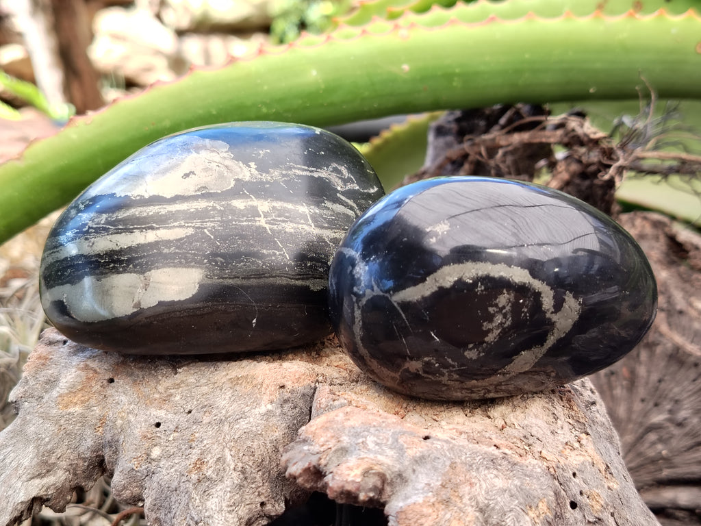 Polished Pharaoh Stone Galet / Palm Stones x 6 From Zimbabwe - Toprock Gemstones and Minerals 