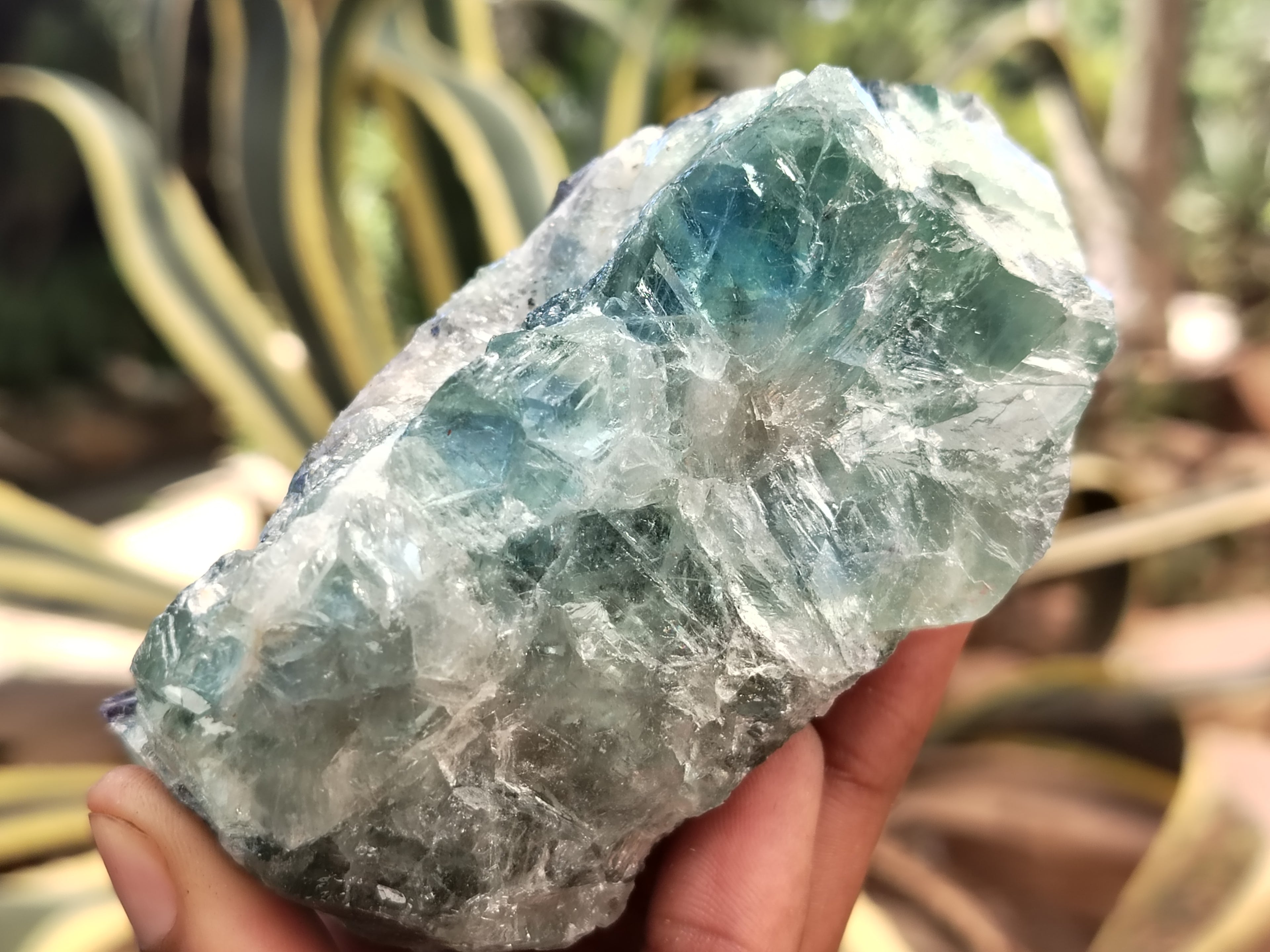 Natural Watermelon Fluorite Cobbed Specimens x 6 From Uis, Namibia - Toprock Gemstones and Minerals 