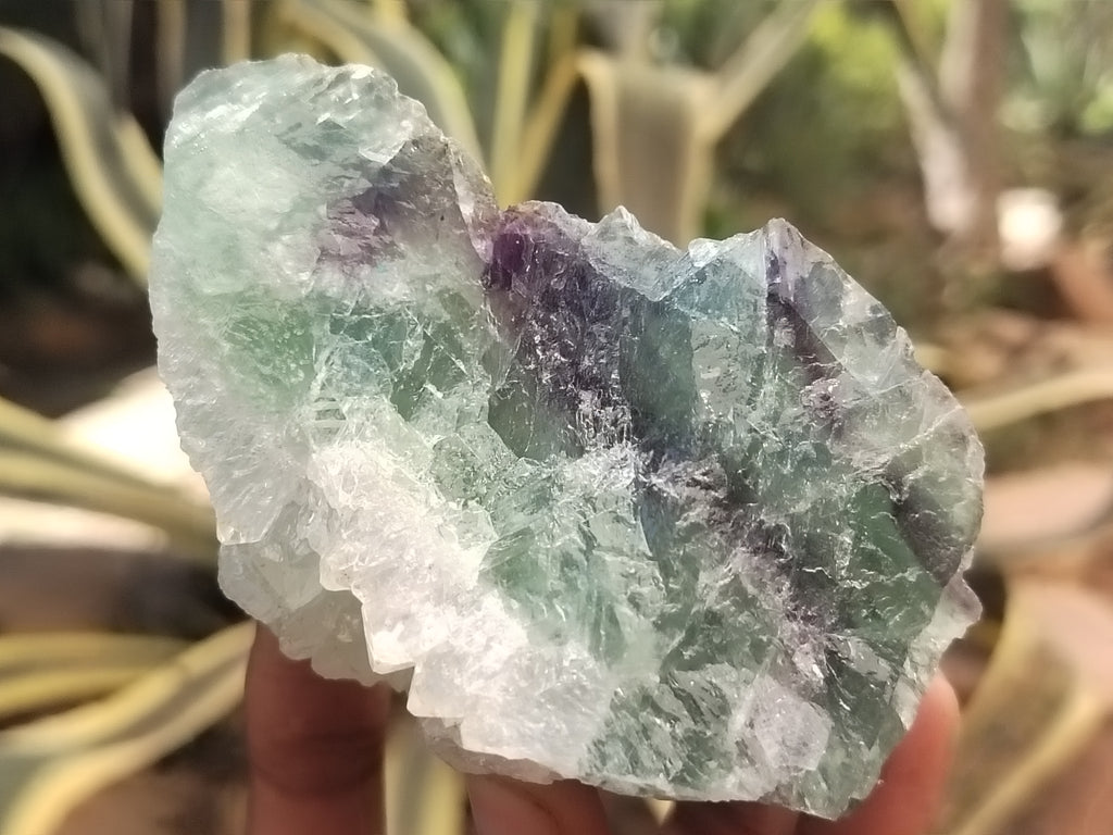 Natural Watermelon Fluorite Cobbed Specimens x 6 From Uis, Namibia - Toprock Gemstones and Minerals 