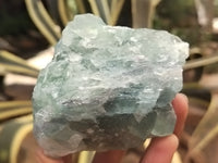 Natural Watermelon Fluorite Cobbed Specimens x 6 From Uis, Namibia - Toprock Gemstones and Minerals 