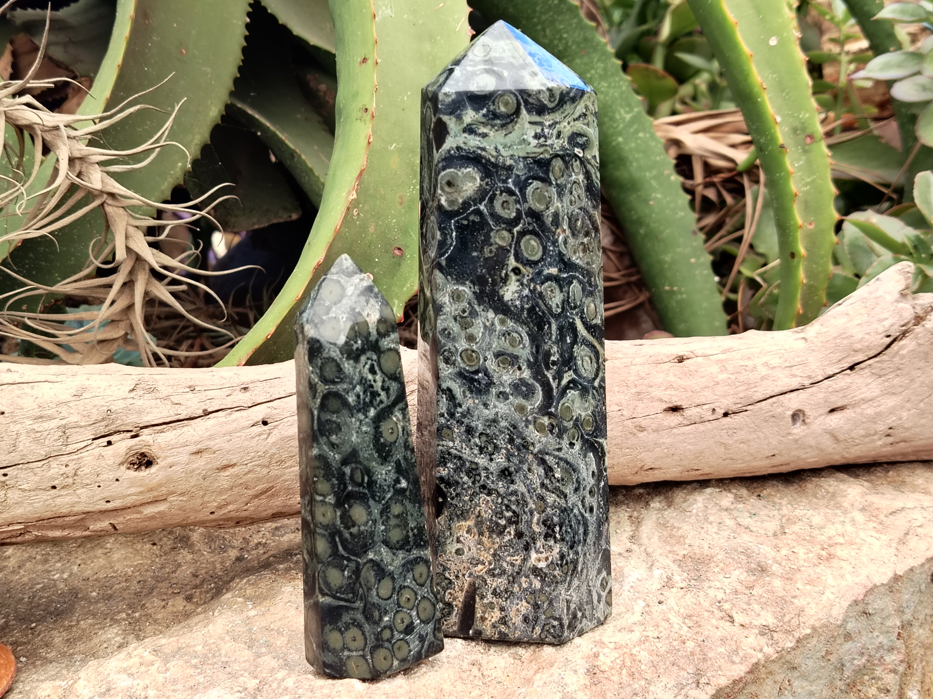 Polished Stromatolite Jasper Points x 2 From Katsepy, Madagascar - Toprock Gemstones and Minerals 