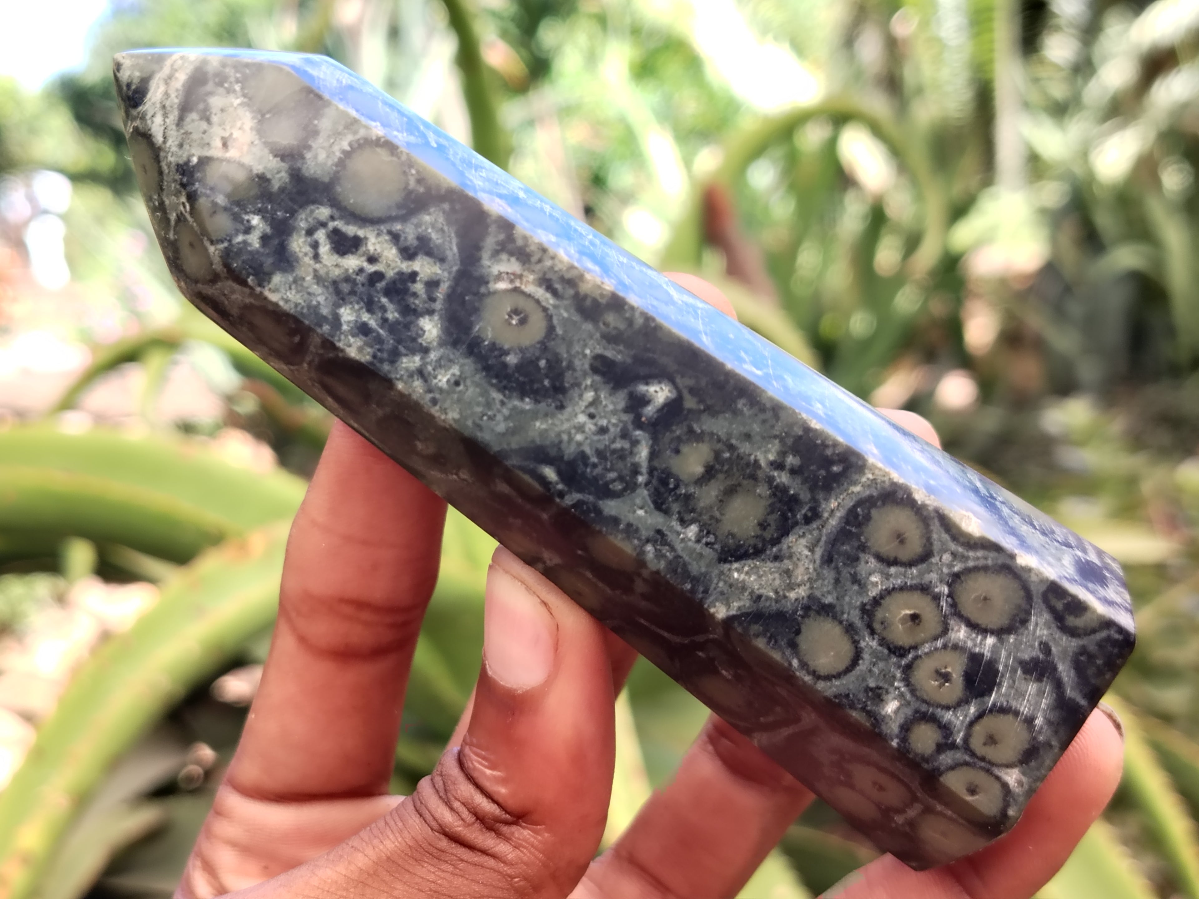 Polished Stromatolite Jasper Points x 2 From Katsepy, Madagascar - Toprock Gemstones and Minerals 