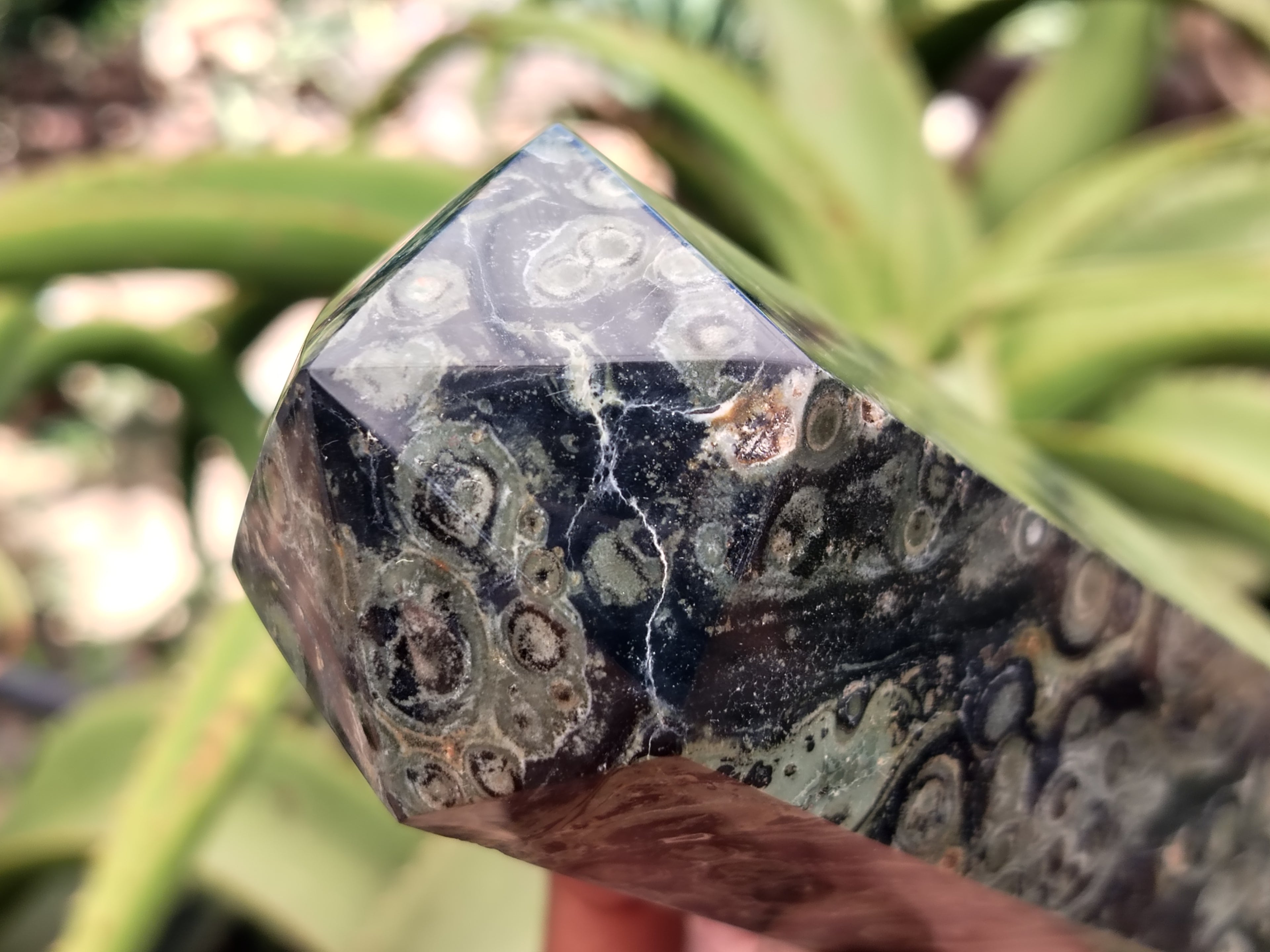 Polished Stromatolite Jasper Points x 2 From Katsepy, Madagascar - Toprock Gemstones and Minerals 