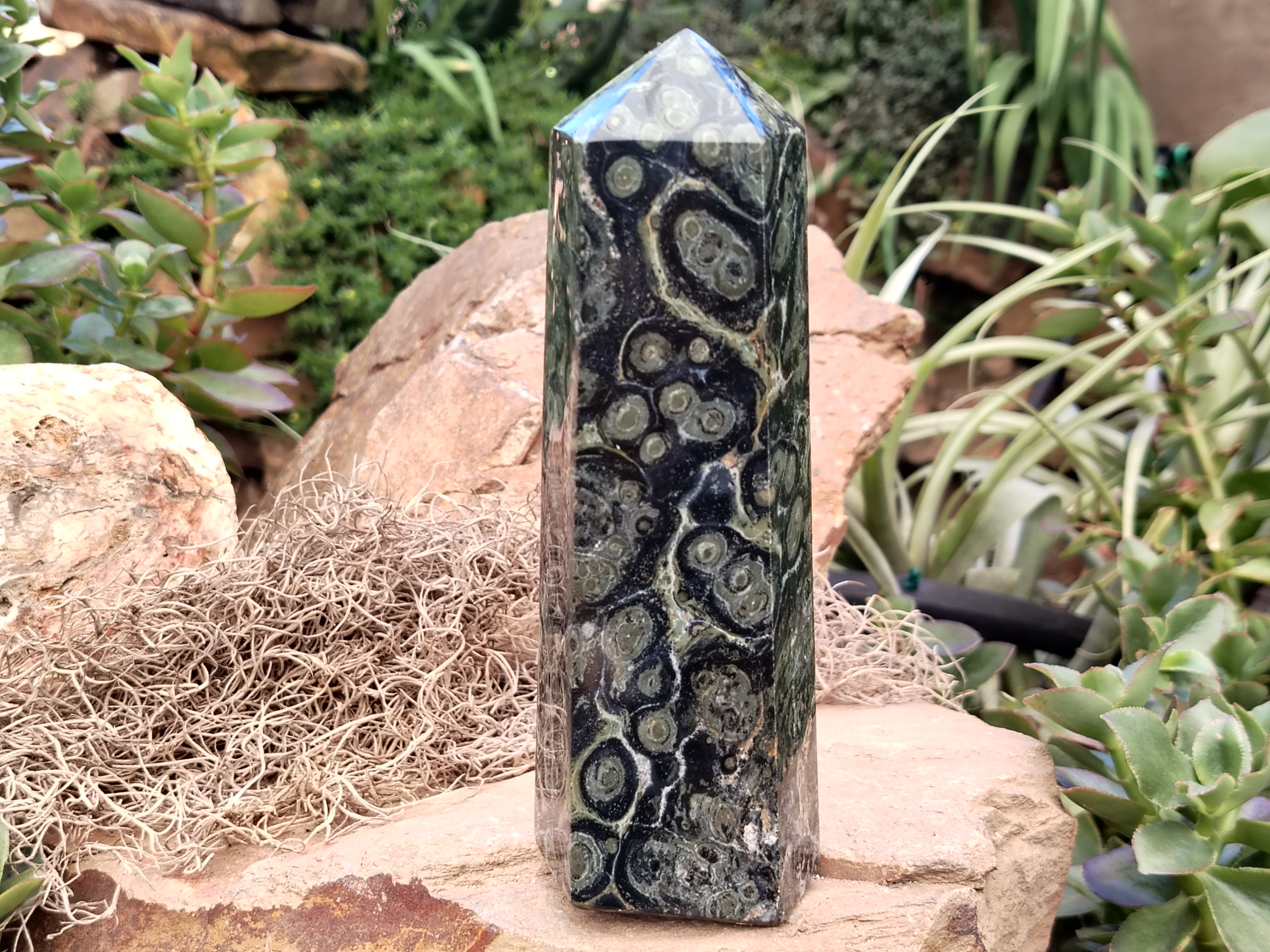 Polished Stromatolite Jasper Points x 2 From Katsepy, Madagascar - Toprock Gemstones and Minerals 