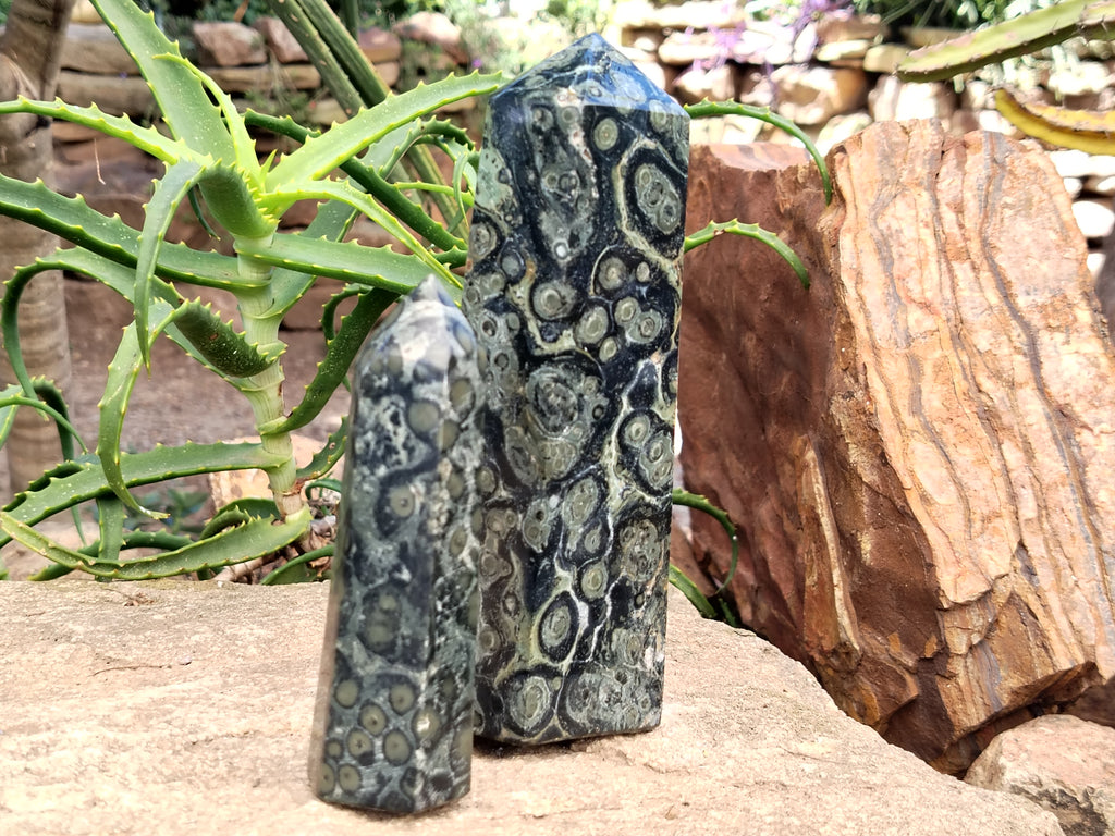 Polished Stromatolite Jasper Points x 2 From Katsepy, Madagascar - Toprock Gemstones and Minerals 