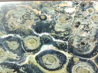 Polished Stromatolite Jasper Points x 2 From Katsepy, Madagascar