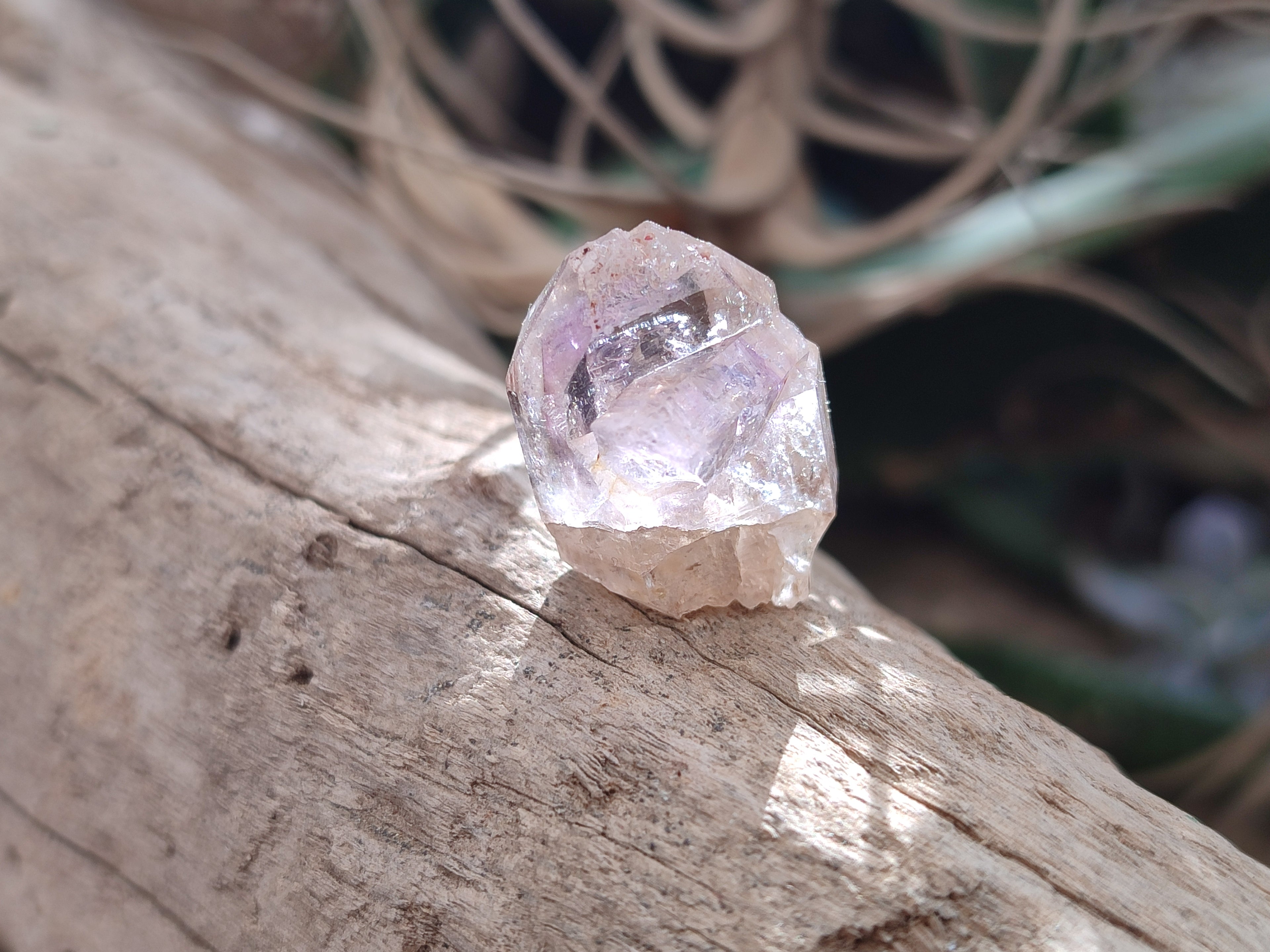 Natural Zululand Amethyst Crystals x 70 From South Africa - Toprock Gemstones and Minerals 