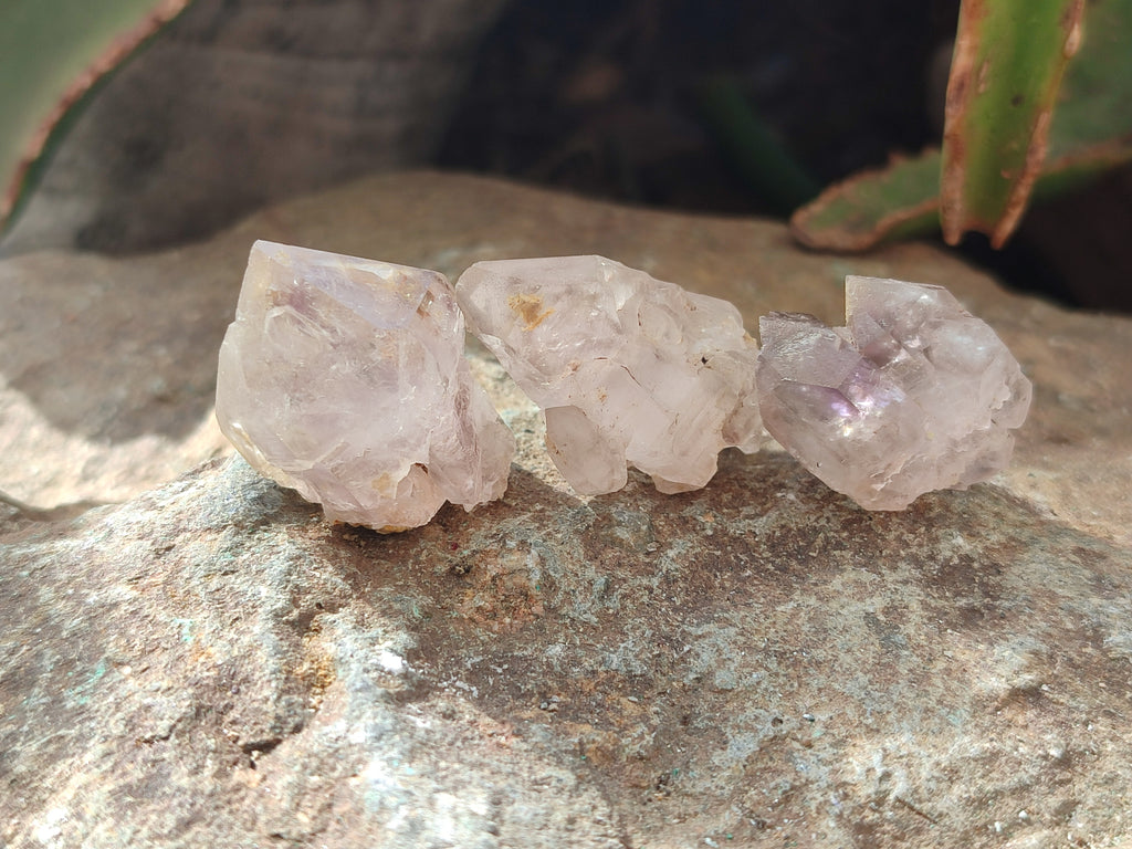 Natural Zululand Amethyst Crystals x 70 From South Africa - Toprock Gemstones and Minerals 