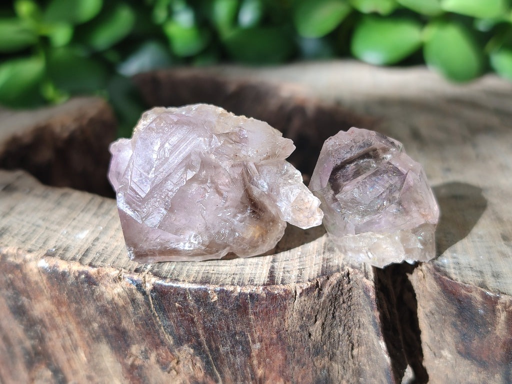 Natural Zululand Amethyst Crystals x 70 From South Africa - Toprock Gemstones and Minerals 