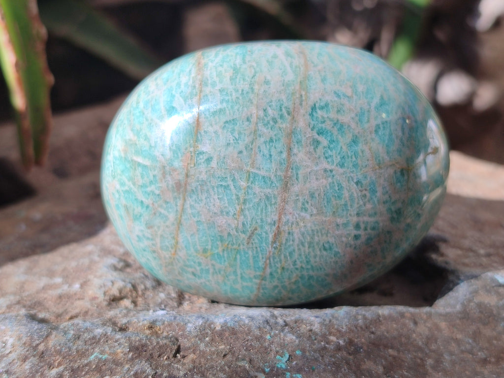 Polished Amazonite Free Forms x 12 From Madagascar - Toprock Gemstones and Minerals 