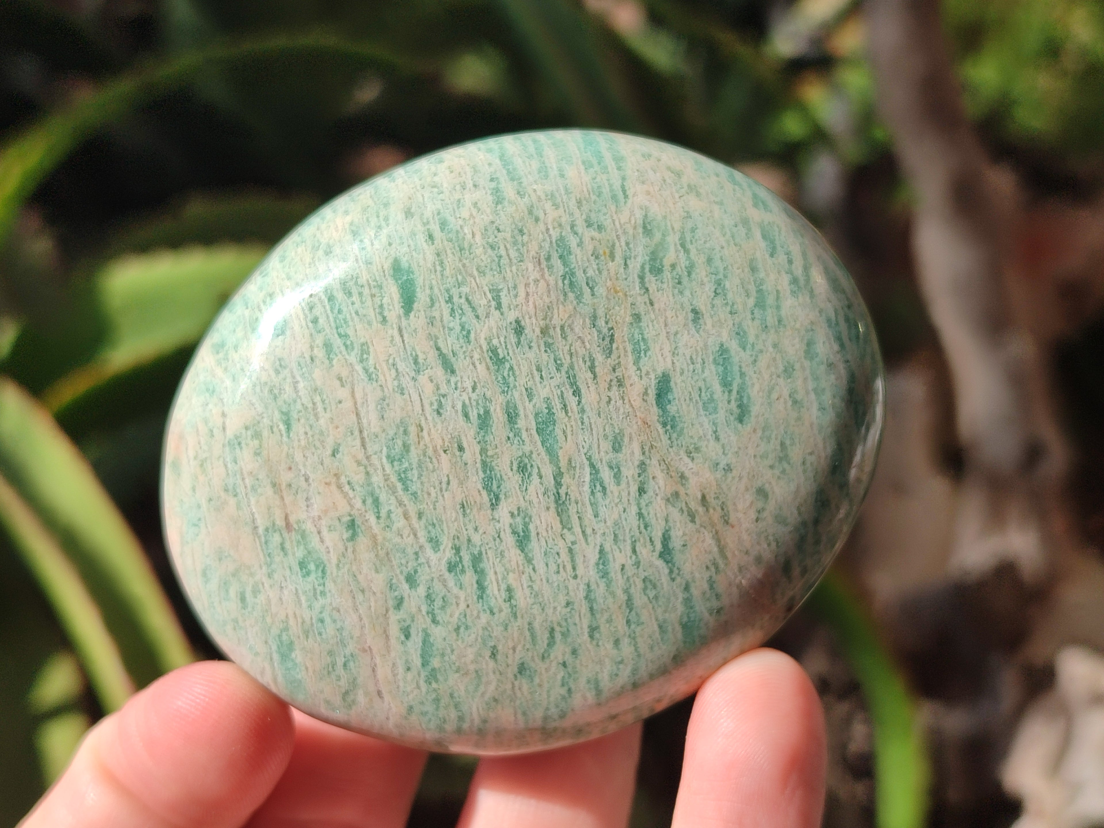 Polished Amazonite Free Forms x 12 From Madagascar - Toprock Gemstones and Minerals 
