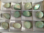 Polished Amazonite Free Forms x 12 From Madagascar - Toprock Gemstones and Minerals 