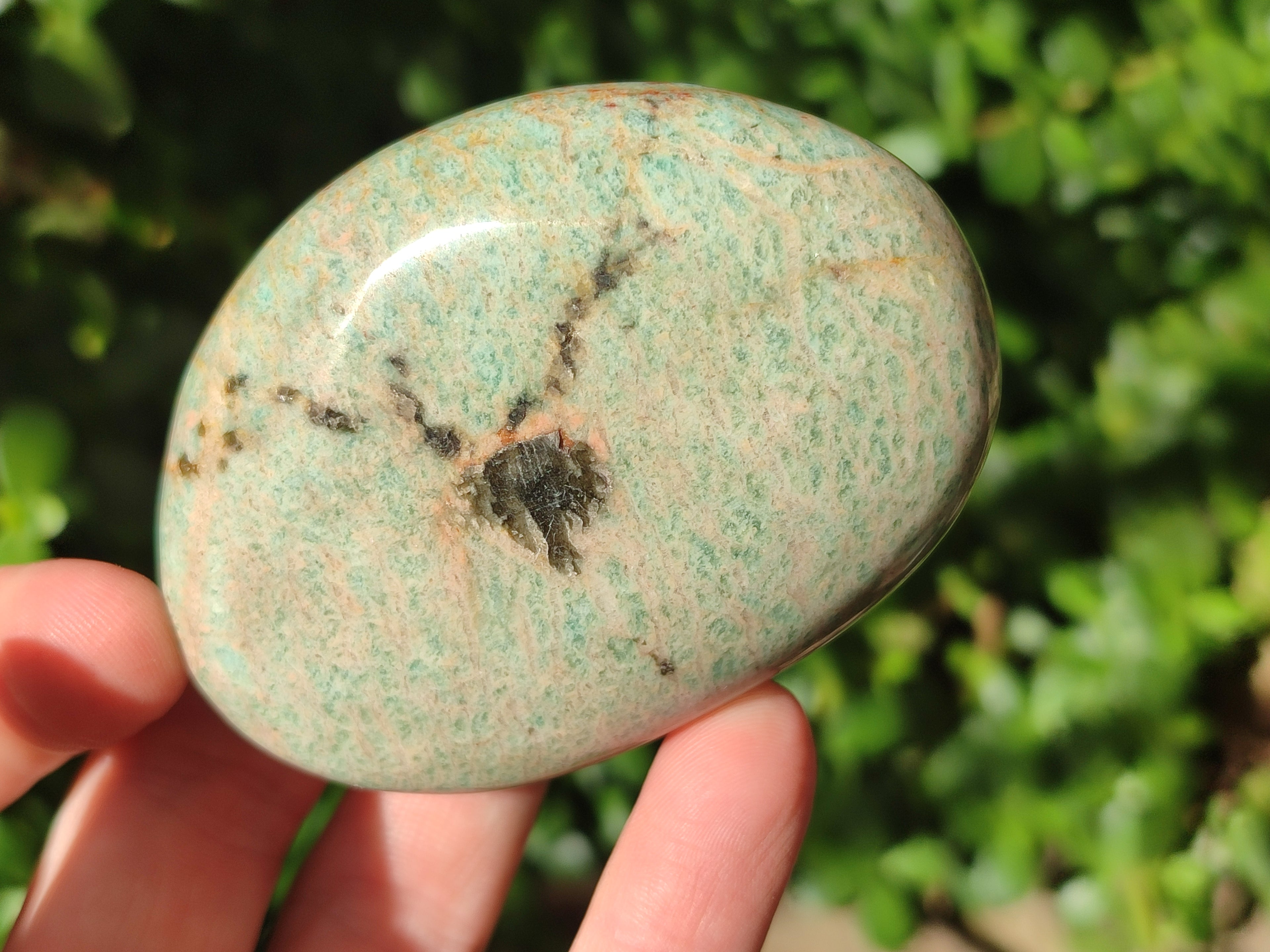 Polished Amazonite Free Forms x 12 From Madagascar - Toprock Gemstones and Minerals 