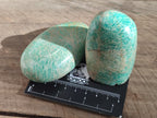 Polished Amazonite Free Forms x 12 From Madagascar - Toprock Gemstones and Minerals 