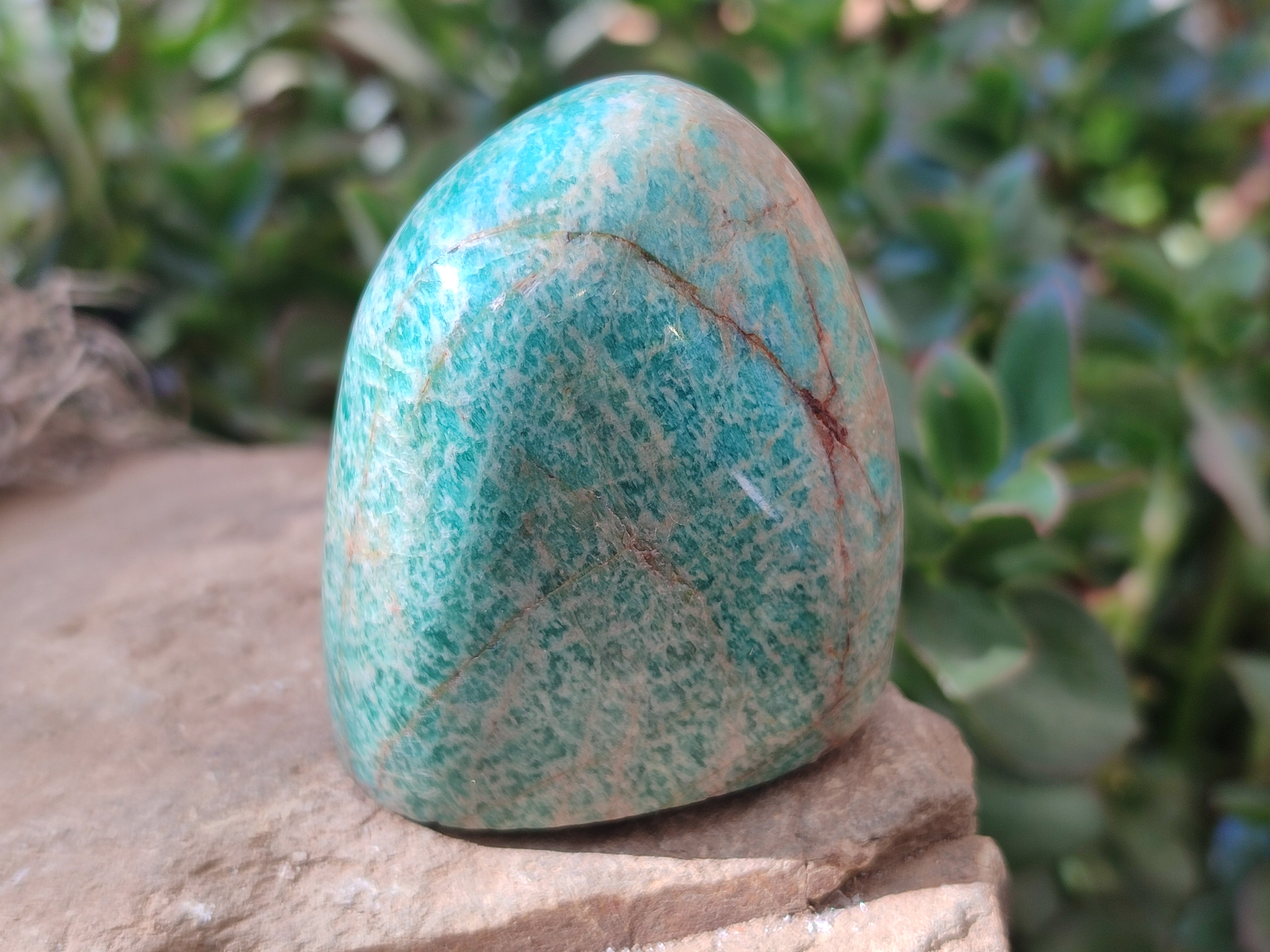 Polished Amazonite Free Forms x 12 From Madagascar - Toprock Gemstones and Minerals 