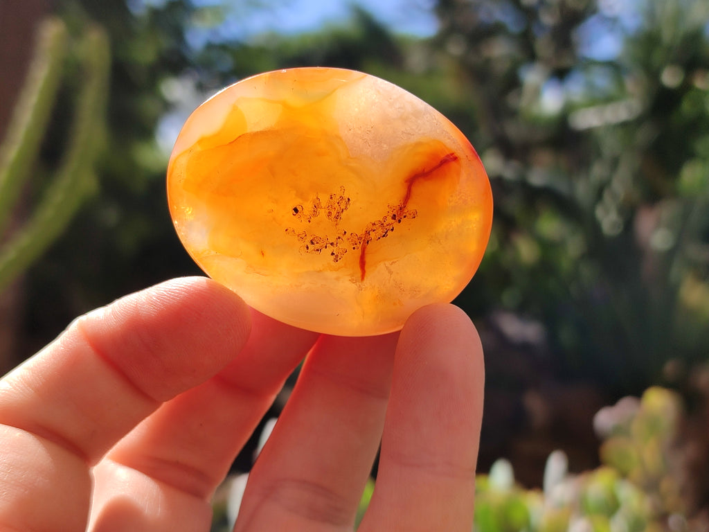 Polished Carnelian Palm Stones x 24 From Madagascar - Toprock Gemstones and Minerals 