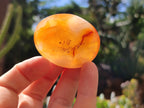 Polished Carnelian Palm Stones x 24 From Madagascar - Toprock Gemstones and Minerals 