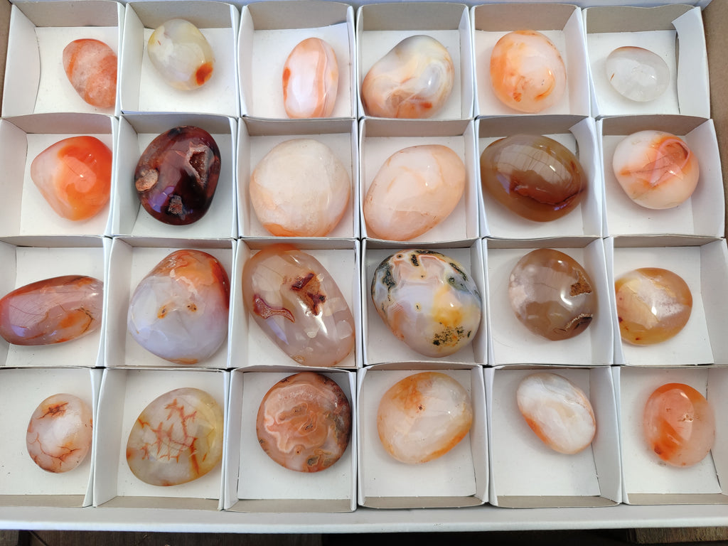 Polished Carnelian Palm Stones x 24 From Madagascar - Toprock Gemstones and Minerals 