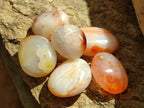 Polished Carnelian Palm Stones x 24 From Madagascar - Toprock Gemstones and Minerals 