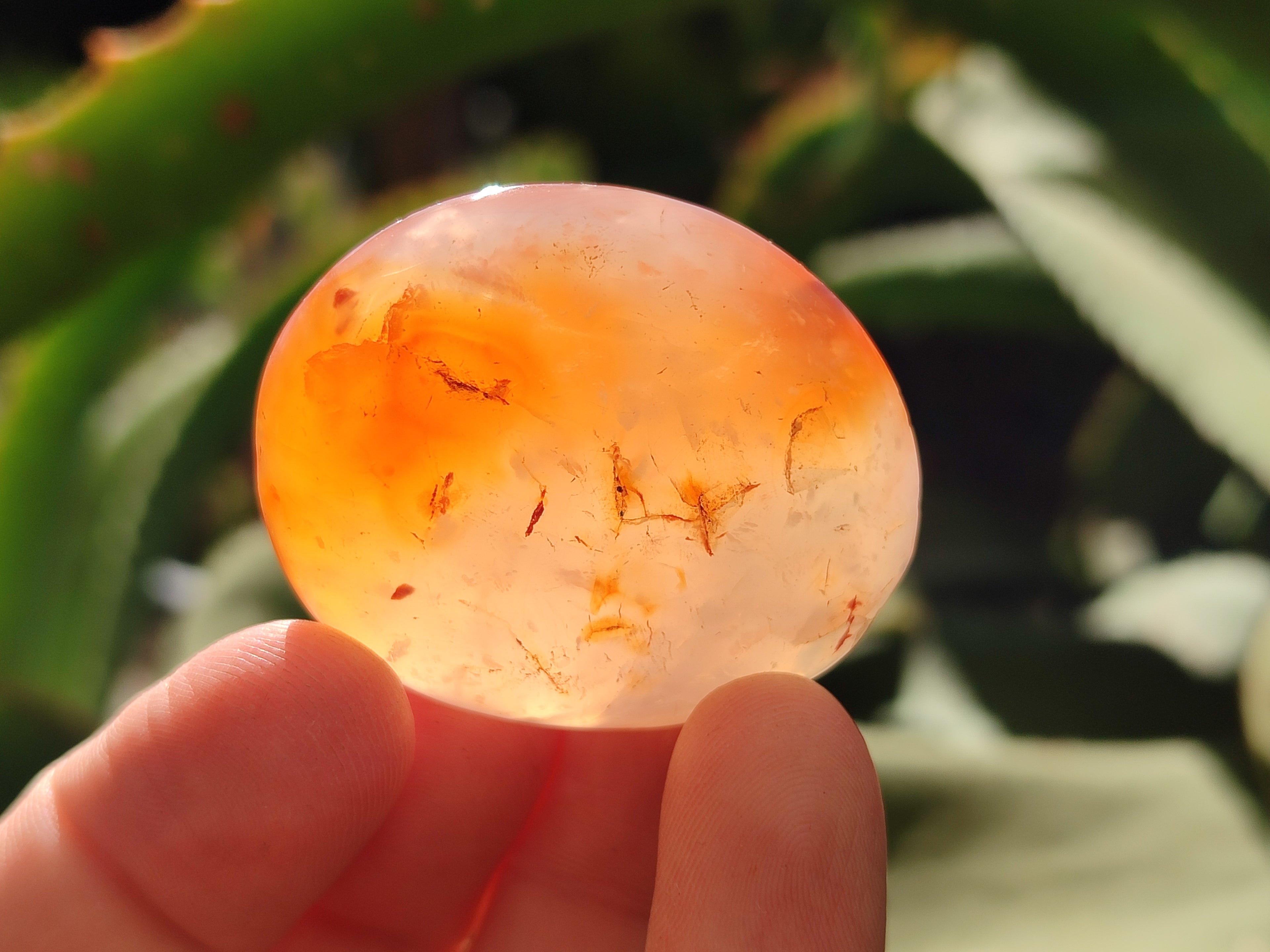 Polished Carnelian Palm Stones x 24 From Madagascar - Toprock Gemstones and Minerals 