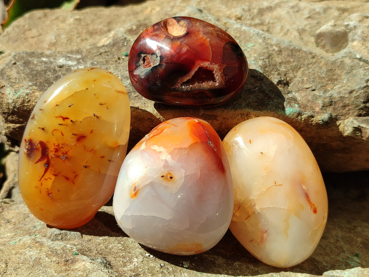 Polished Carnelian Palm Stones x 24 From Madagascar - Toprock Gemstones and Minerals 