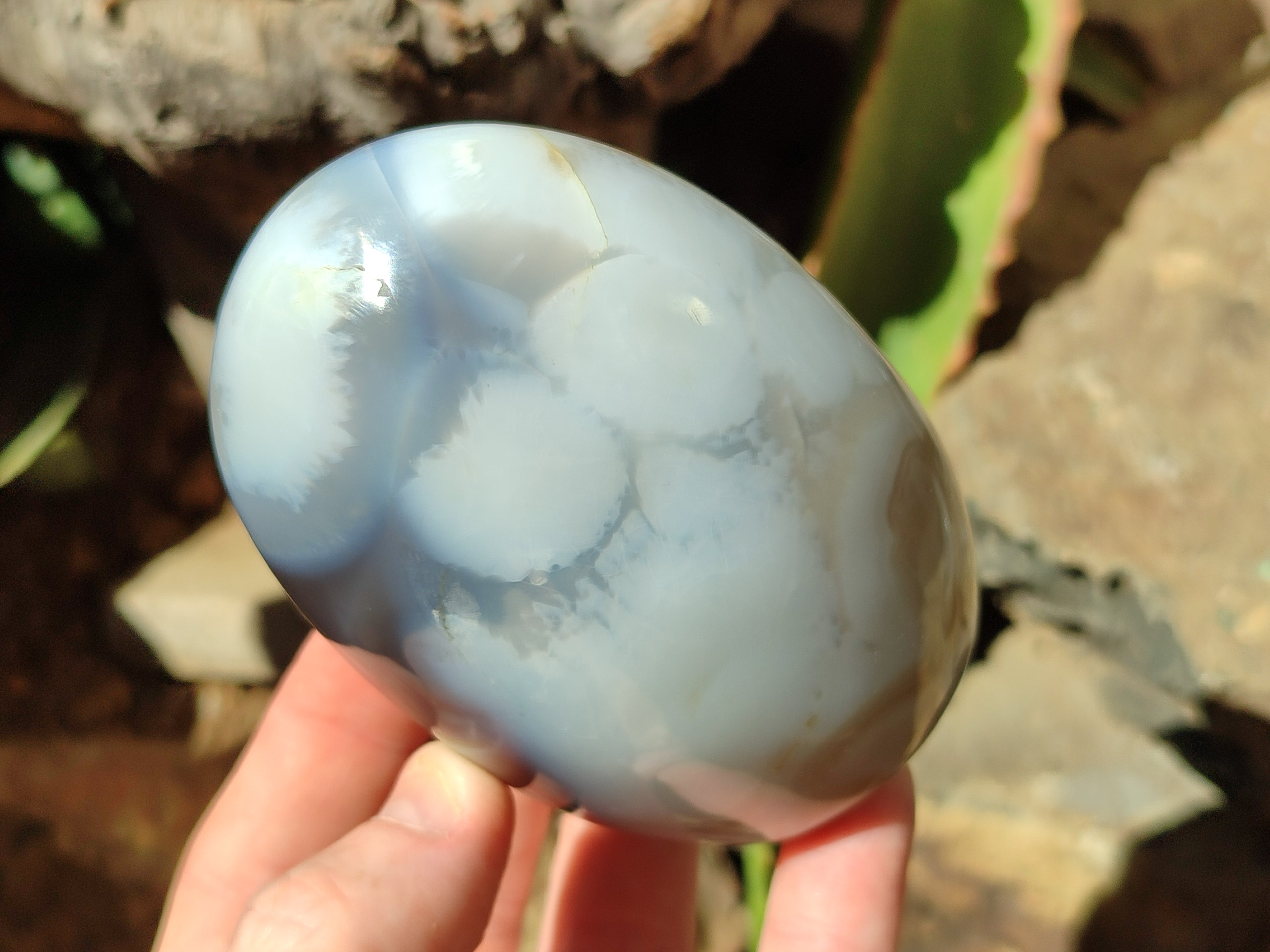 Polished Agate Standing Free Forms x 6 From Madagascar - Toprock Gemstones and Minerals 