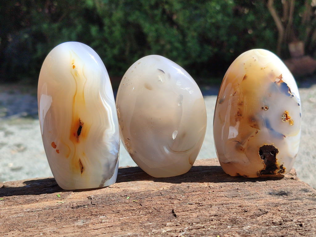 Polished Agate Standing Free Forms x 6 From Madagascar - Toprock Gemstones and Minerals 