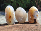 Polished Agate Standing Free Forms x 6 From Madagascar - Toprock Gemstones and Minerals 