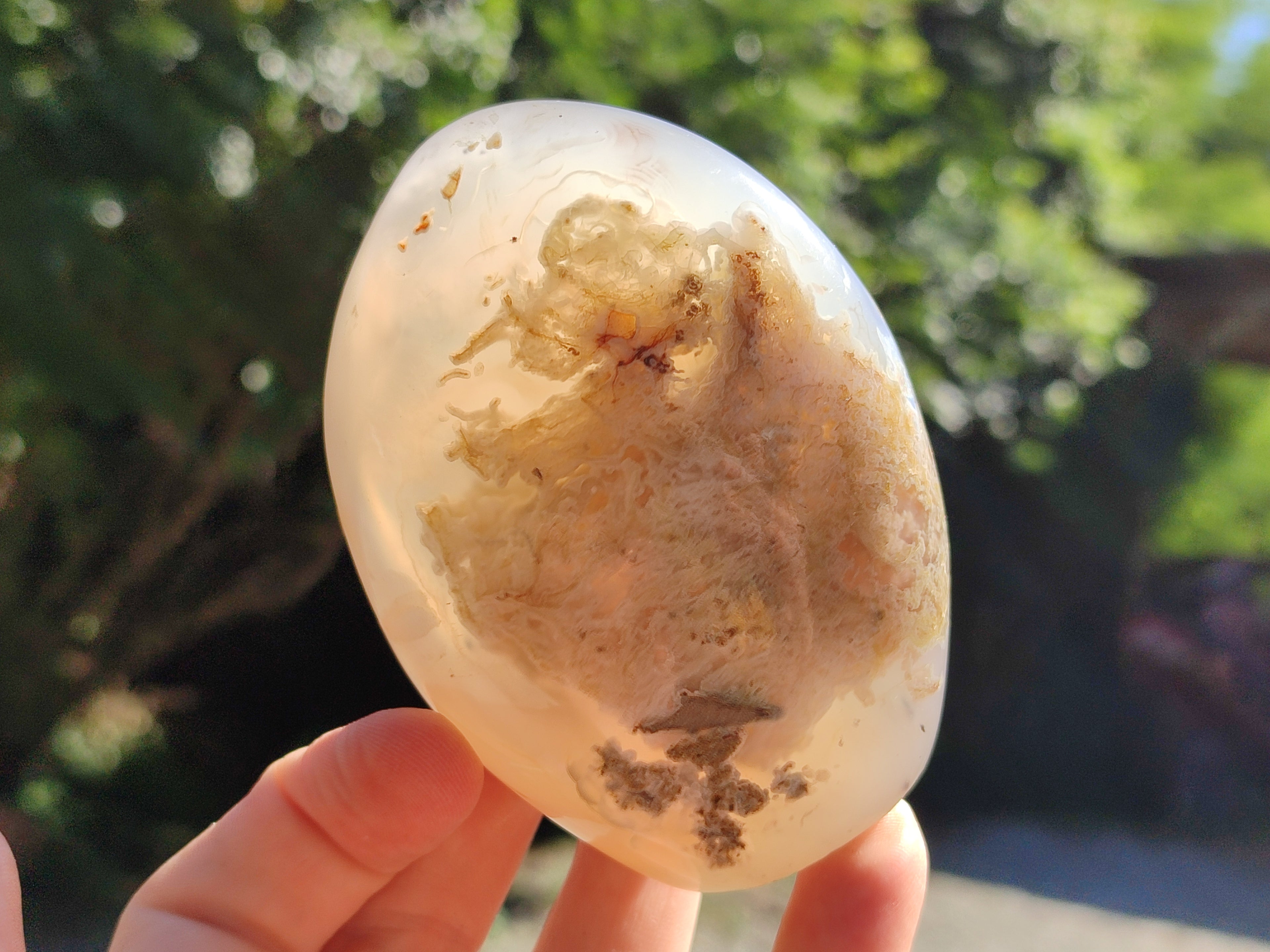 Polished Agate Standing Free Forms x 6 From Madagascar - Toprock Gemstones and Minerals 