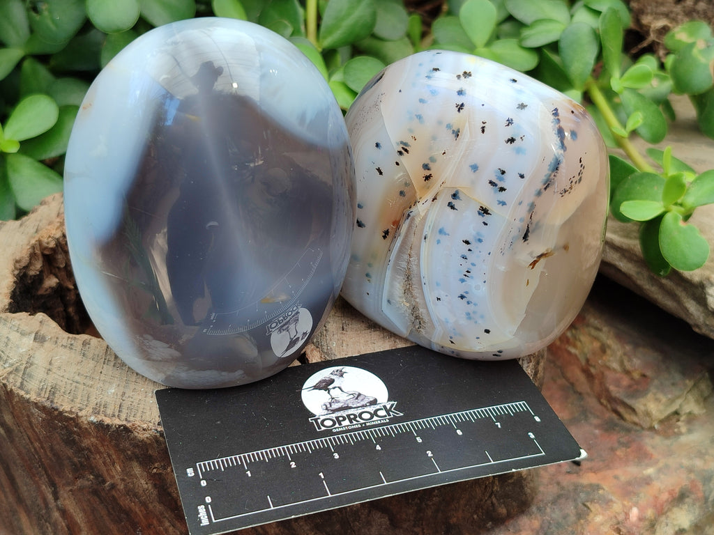 Polished Agate Standing Free Forms x 6 From Madagascar - Toprock Gemstones and Minerals 