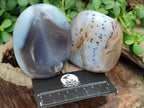 Polished Agate Standing Free Forms x 6 From Madagascar - Toprock Gemstones and Minerals 