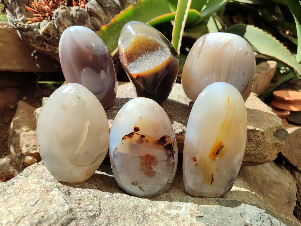 Polished Agate Standing Free Forms x 6 From Madagascar - Toprock Gemstones and Minerals 