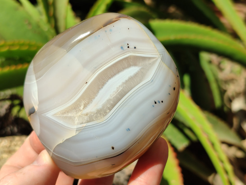 Polished Agate Standing Free Forms x 6 From Madagascar - Toprock Gemstones and Minerals 