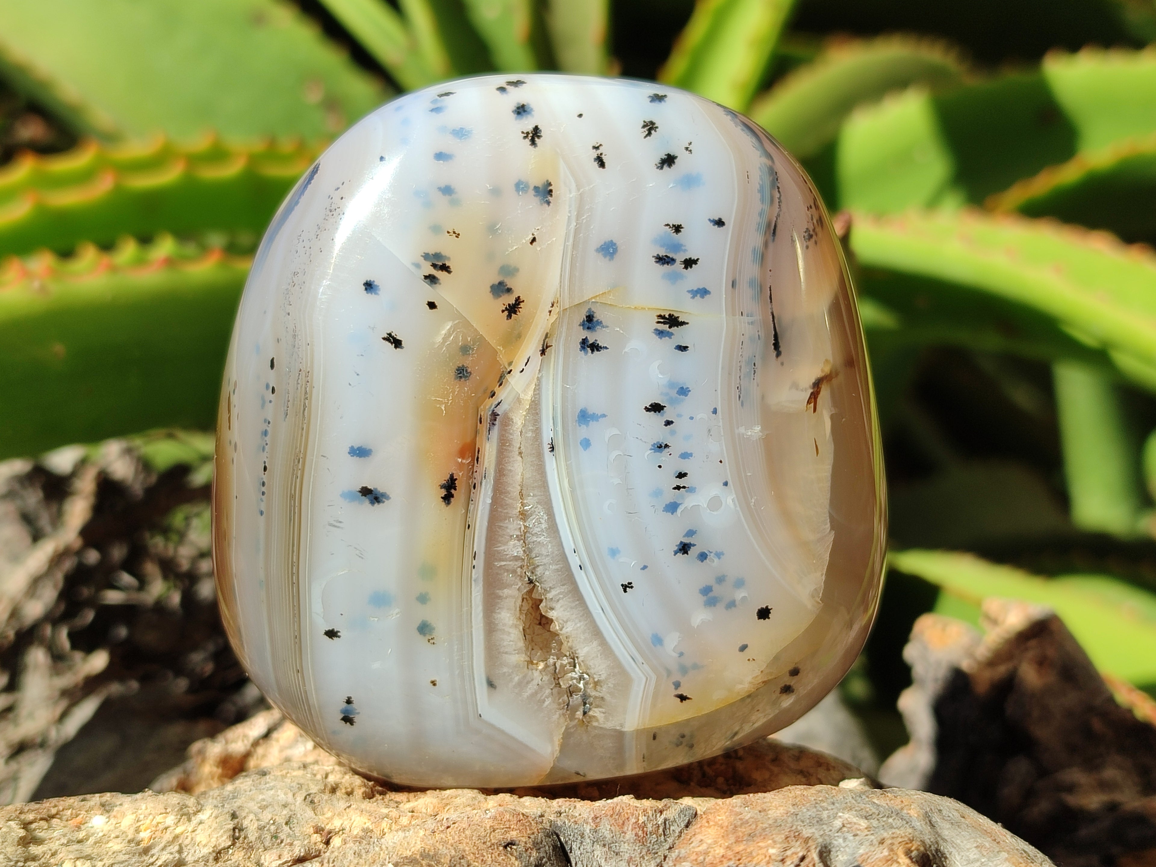 Polished Agate Standing Free Forms x 6 From Madagascar - Toprock Gemstones and Minerals 