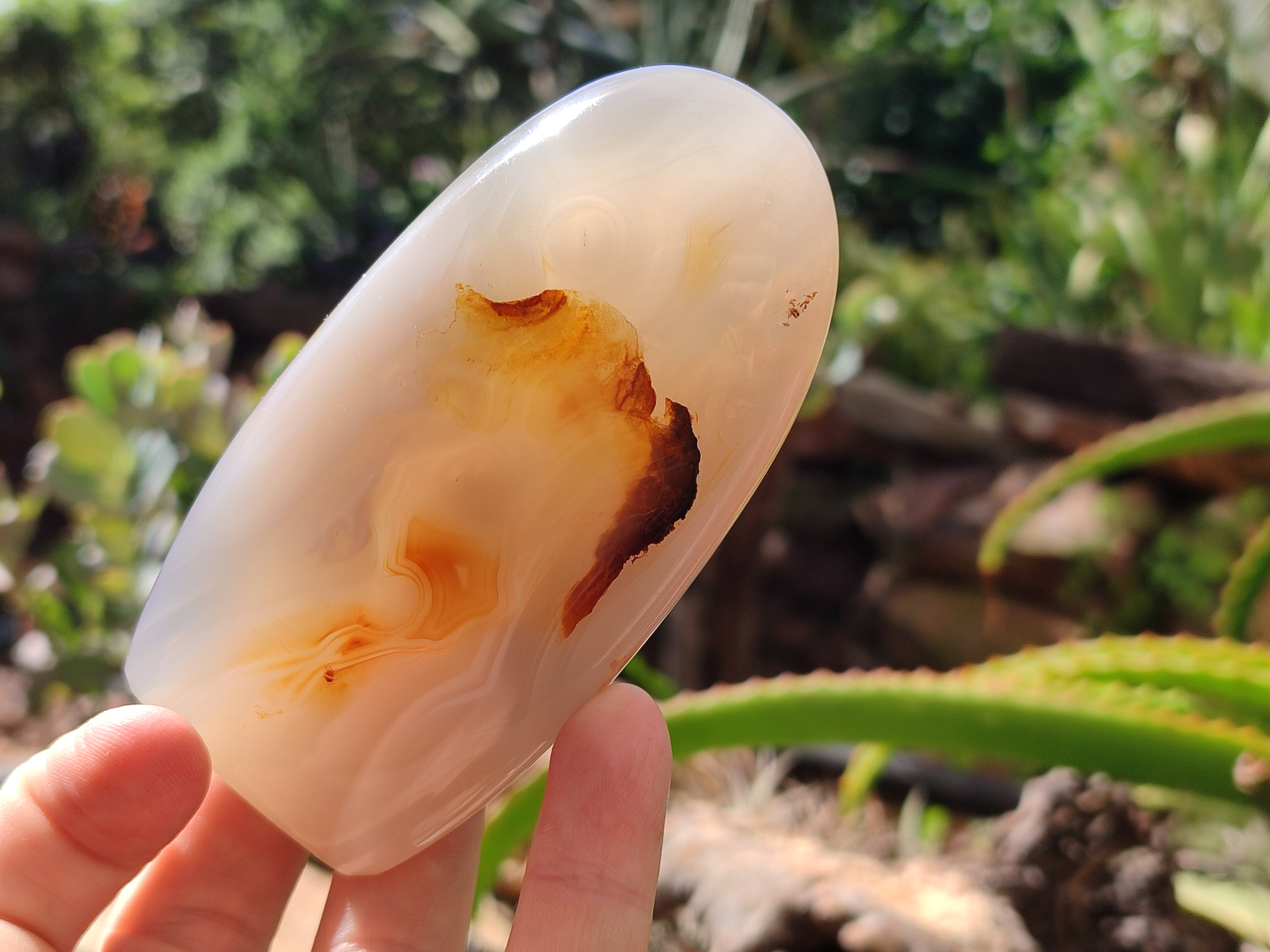 Polished Agate Standing Free Forms x 6 From Madagascar - Toprock Gemstones and Minerals 