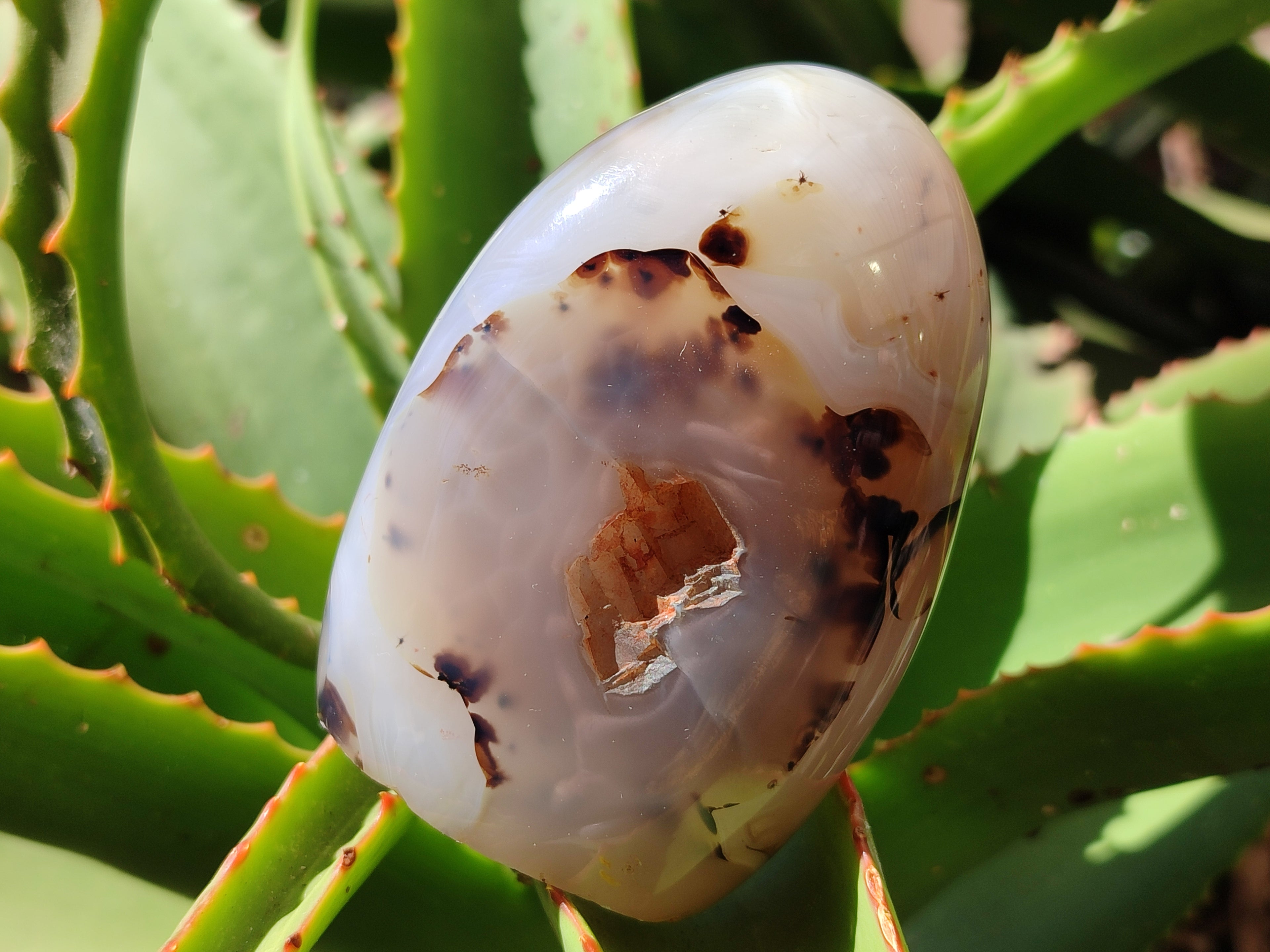 Polished Agate Standing Free Forms x 6 From Madagascar - Toprock Gemstones and Minerals 
