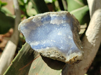 Natural Blue Lace Agate Geode Specimens x 12 From Nsanje, Malawi - Toprock Gemstones and Minerals 