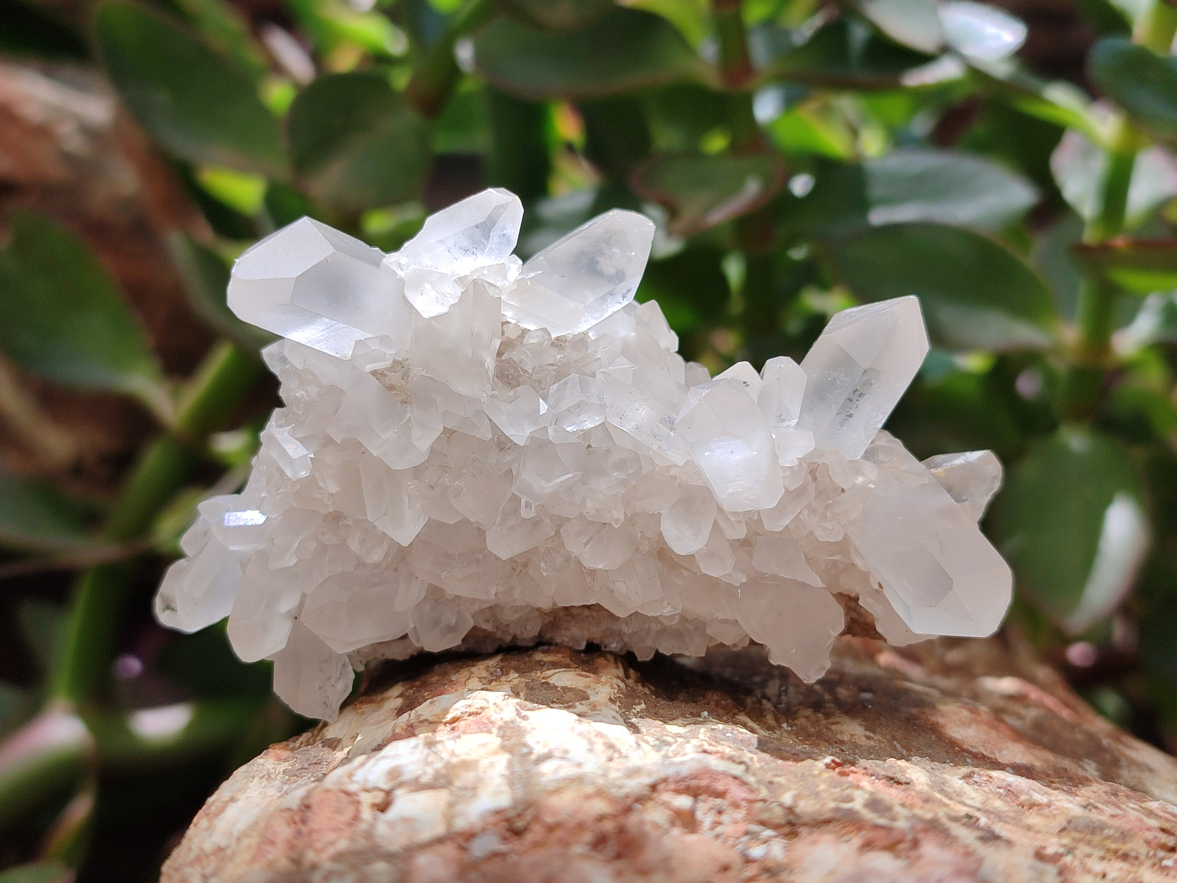 Natural Assortment Of Quartz Clusters x 12 From Madagascar - Toprock Gemstones and Minerals 