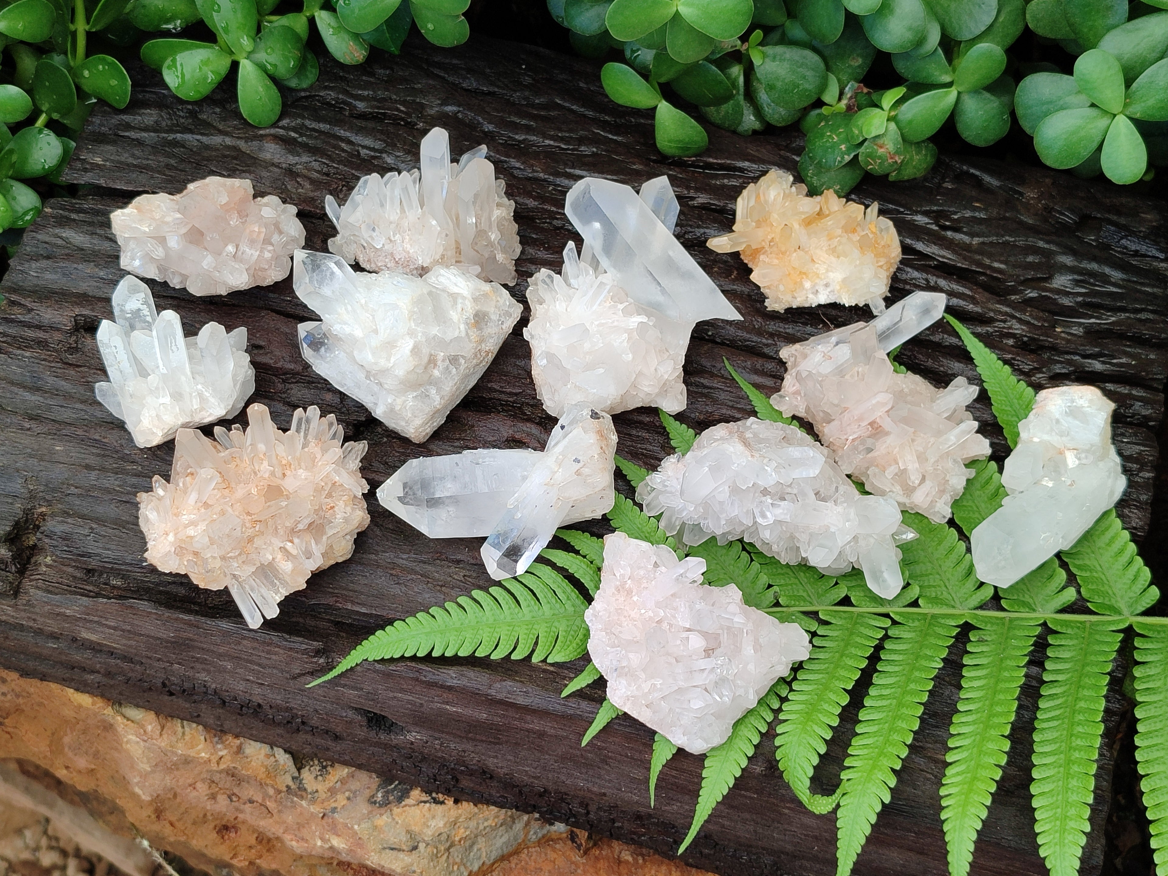 Natural Assortment Of Quartz Clusters x 12 From Madagascar - Toprock Gemstones and Minerals 