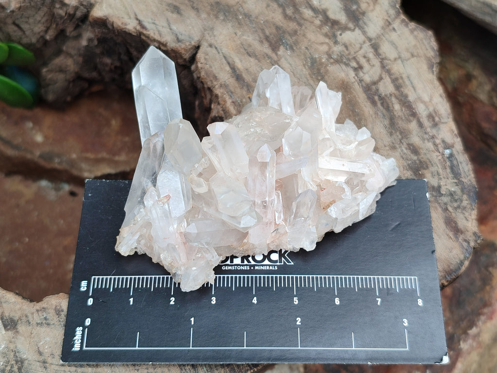 Natural Assortment Of Quartz Clusters x 12 From Madagascar - Toprock Gemstones and Minerals 
