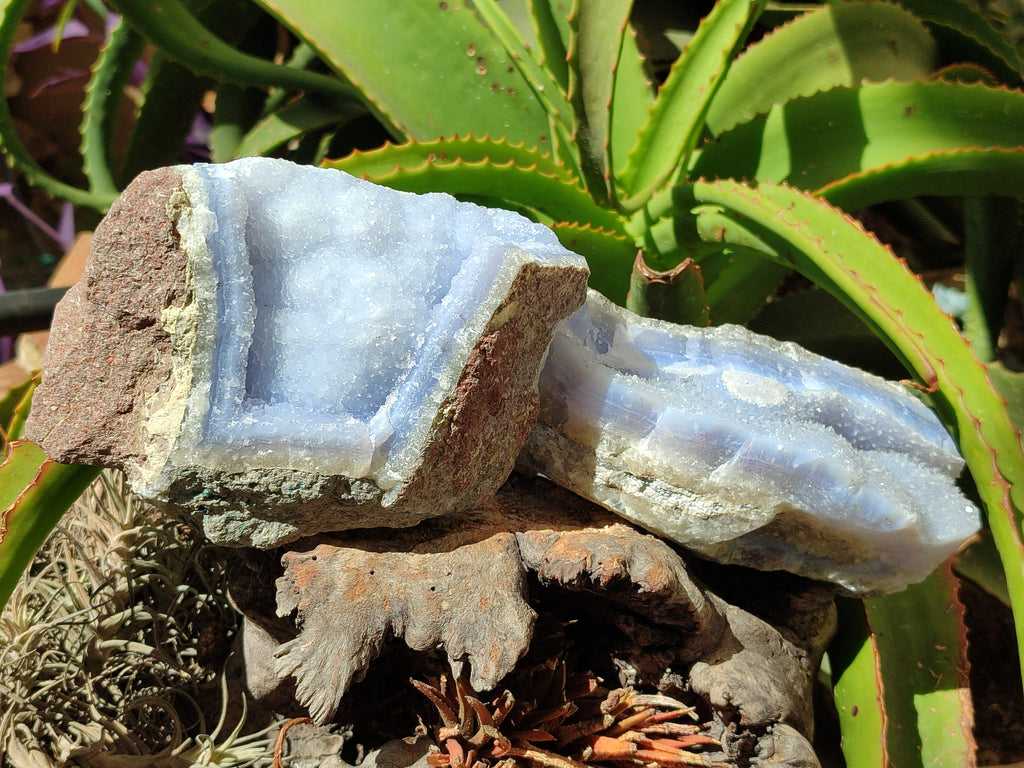 Natural Blue Lace Agate Geode Specimens x 2 From Nsanje, Malawi - Toprock Gemstones and Minerals 